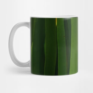 Green kelp pattern - Abstract photography Mug